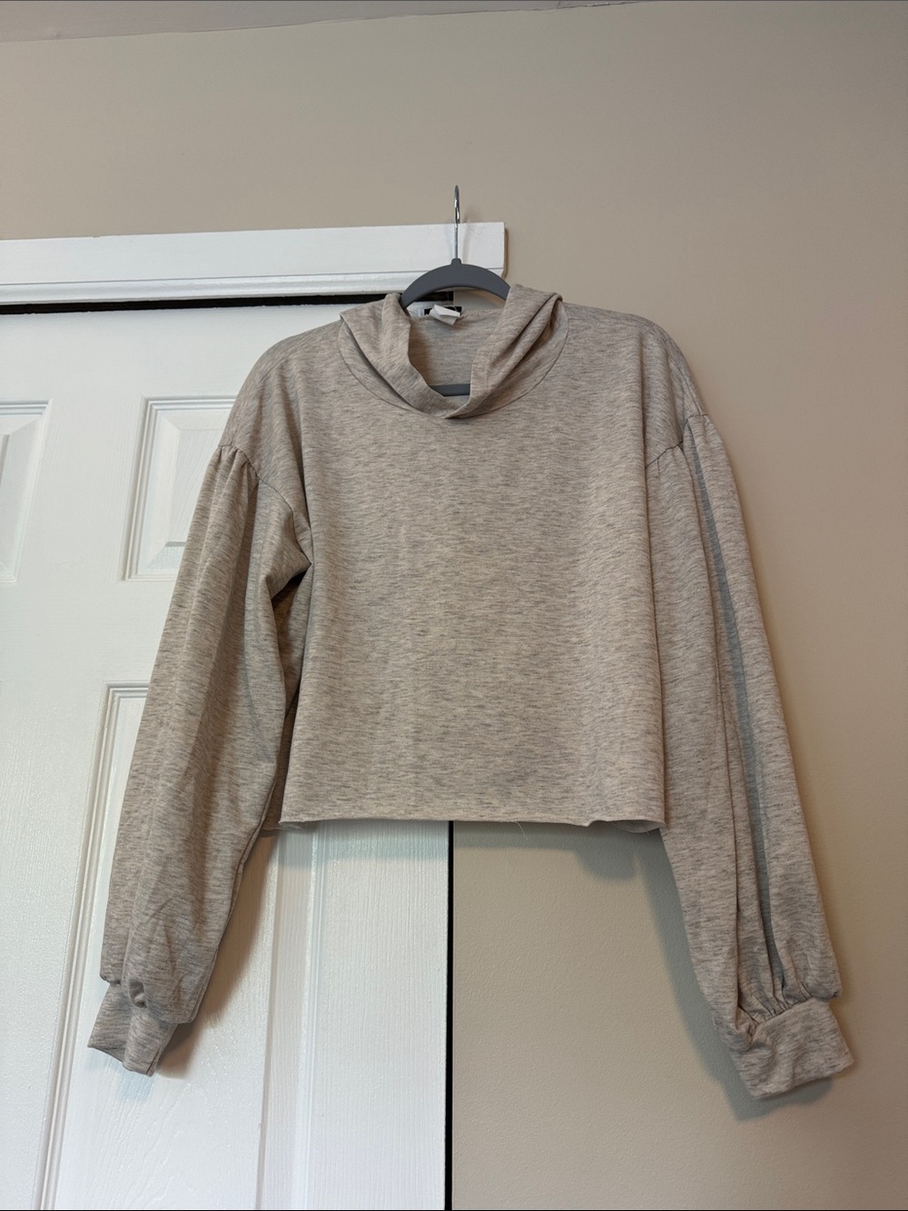 Cropped Hoodie in Heathered Gray